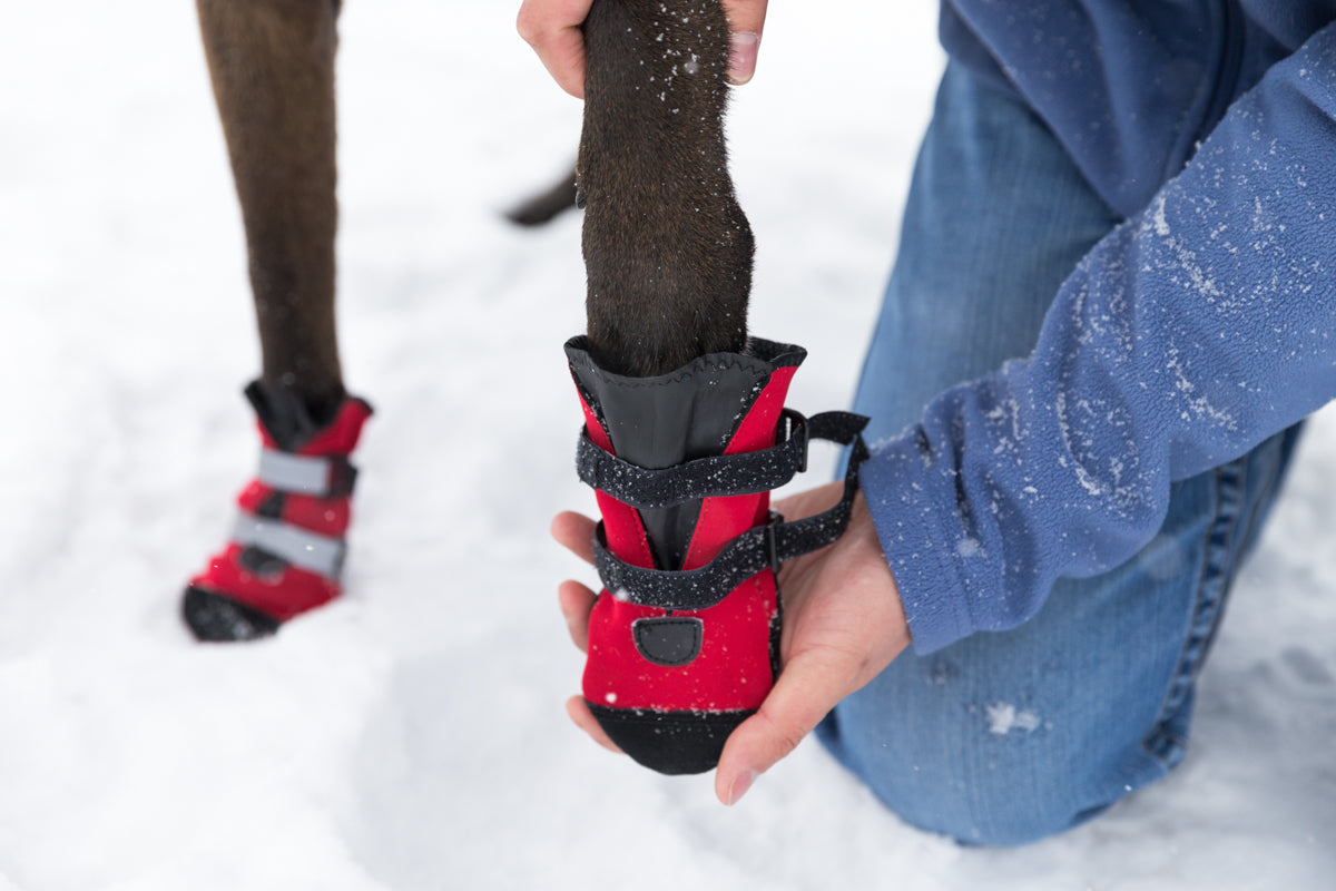 Pawsh Pads, Neoprene Water-Resistant Dog Boots