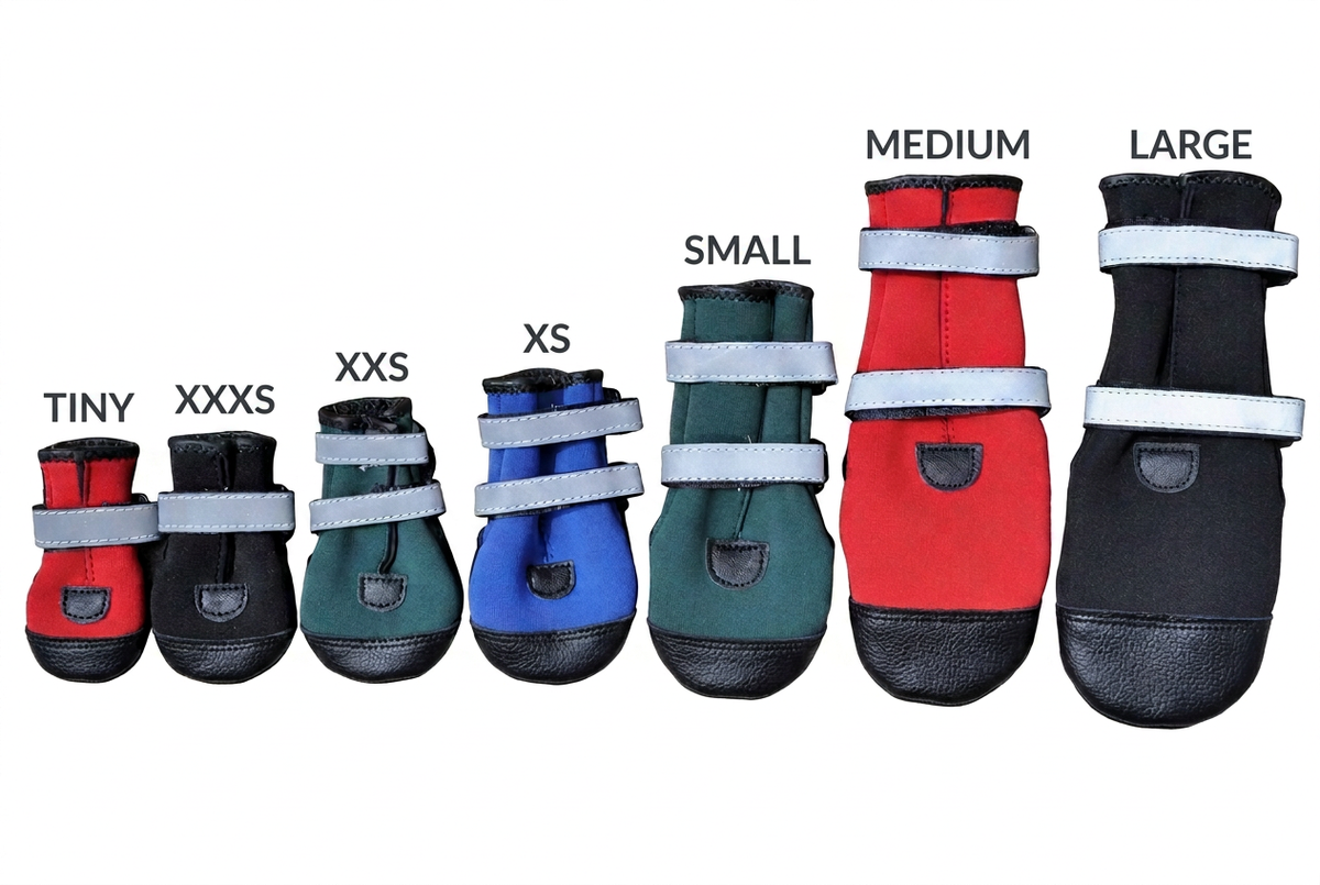 Boot size comparison with professional size-label typography