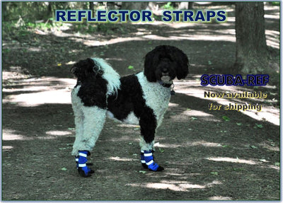 PAWSH PADS Easy to Get on Dog Boots